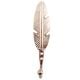 Silver Big Feather Iron Hook